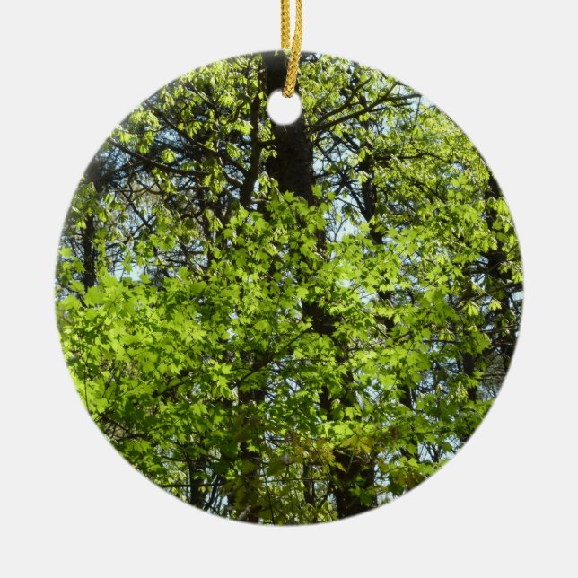 Ornamento De Cerâmica Primavera Maple Deixa a natureza (Frente)