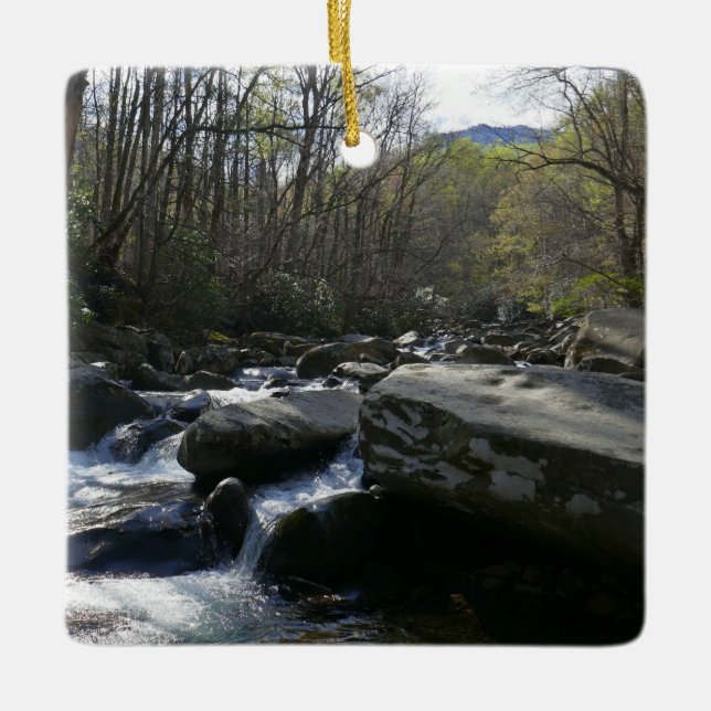 Ornamento De Cerâmica Primavera no Rio Pequeno Pombo (Frente)