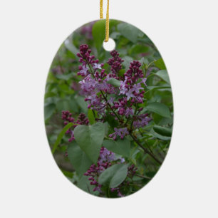 Ornamento De Cerâmica Primavera/páscoa: Cordeiro curioso, lylacs líric
