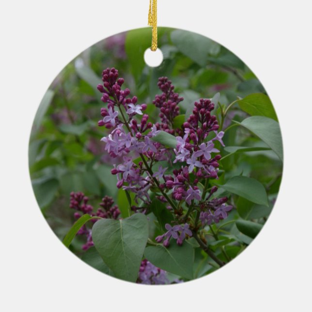 Ornamento De Cerâmica Primavera/páscoa: Japonica/Lilac (Traseira)