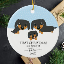 Primeira Família De Natal De 3 Dachshund Christmas
