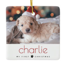 Primeira Foto de Natal de Pet de Tipo Moderno Míni