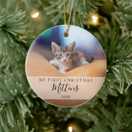 Ornamento De Cerâmica Primeira Foto de Natal do Gato Cachorro Pet com Le