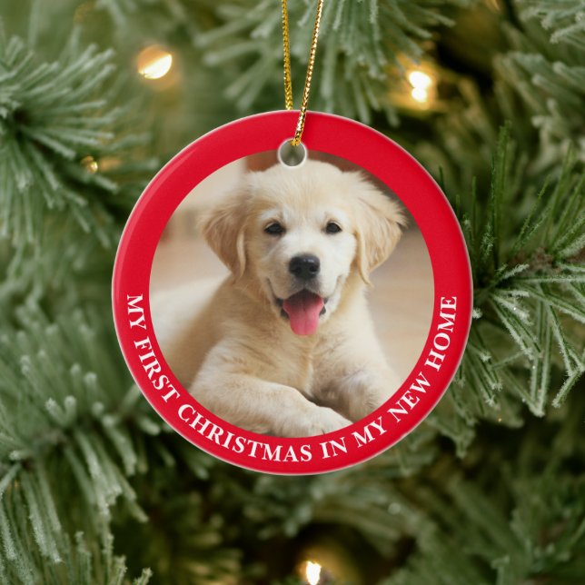 Ornamento De Cerâmica Primeiro Cachorro de Natal Personalizado Foto (Árvore)