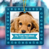 Primeiro Hanukkah Pet Puppy Fotografias Estrelas M