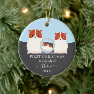 Ornamento De Cerâmica Primeiro Natal como Família de 3 Hamster Animal