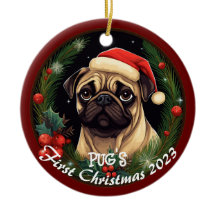 Primeiro Natal de Pug