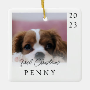 Ornamento De Cerâmica Primeiro Natal do Cachorrinho Foto Lembrança