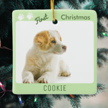 Primeiro Natal do Cachorro Pet Filhote Foto Pegada