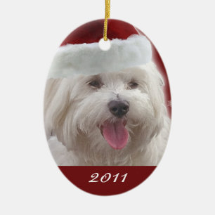 Ornamento De Cerâmica Primeiro Natal maltês alegre personalizado Orname
