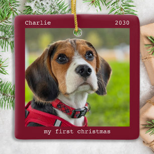 Ornamento De Cerâmica Primeiro Natal Personalizado Pet Cachorro Foto