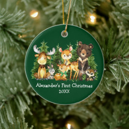 Ornamento De Cerâmica Primeiros Animais de Natal do Bebê Veem Arco Verde