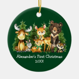 Ornamento De Cerâmica Primeiros Animais de Natal do Bebê Veem Arco Verde