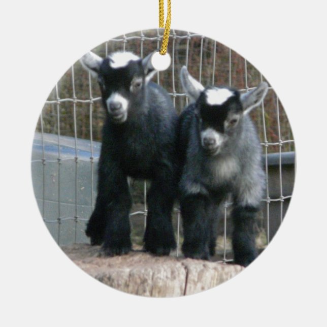 Ornamento De Cerâmica Problema dobro (Frente)