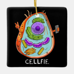 Ornamento De Cerâmica professor de Ciência da Biologia Celular da Biolo