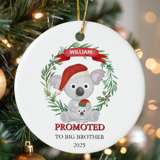 Ornamento De Cerâmica Promovido a Irmãos Koala Personalizados do Big Bro