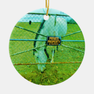 Ornamento De Cerâmica Propriedade Privada, Cavalo