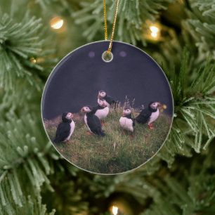 Ornamento De Cerâmica Puffins Atlântico