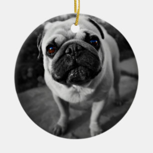 Ornamento De Cerâmica Pug bonito