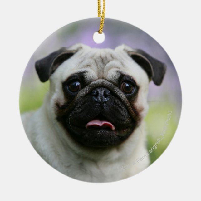 Ornamento De Cerâmica Pug da jovem corça no alerta (Frente)