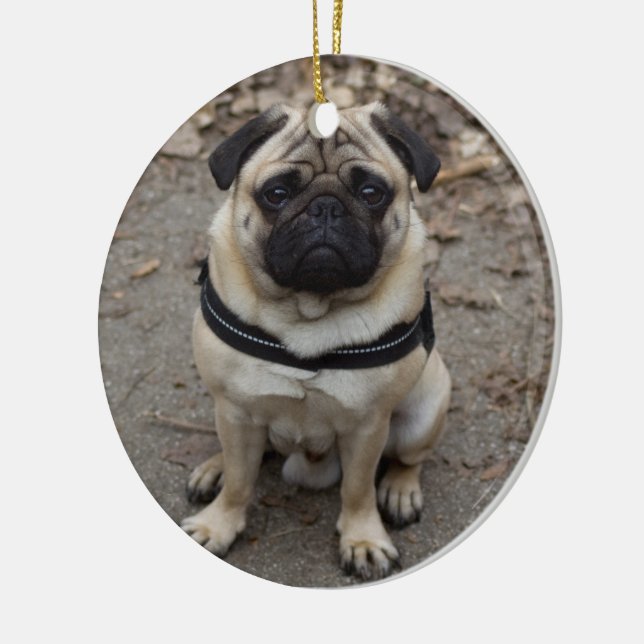 Ornamento De Cerâmica Pug Muito Grave (Esquerda)