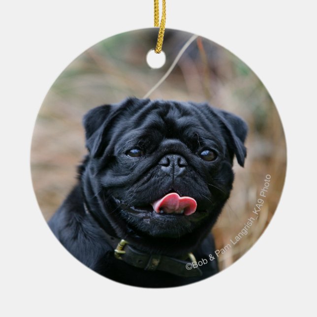 Ornamento De Cerâmica Pug preto que arfa ao olhar a câmera (Frente)