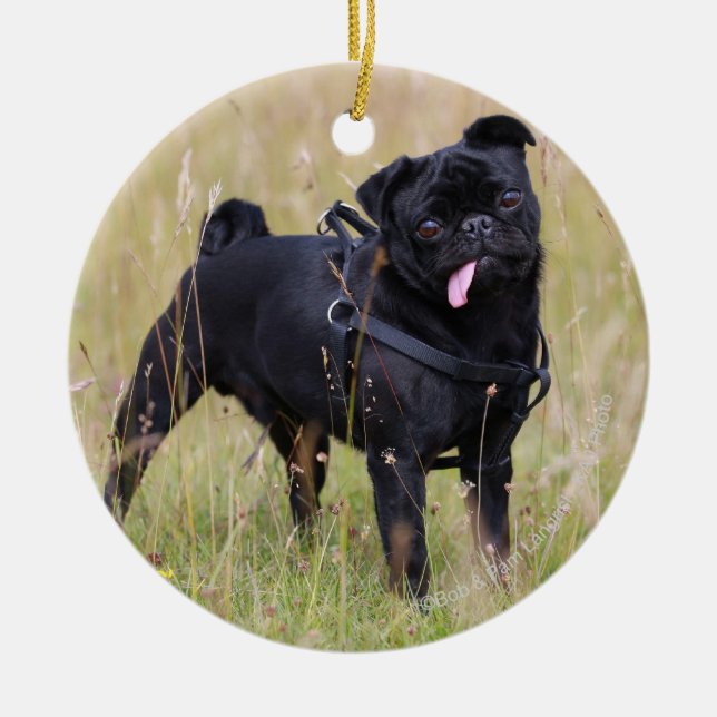 Ornamento De Cerâmica Pug preto que cola para fora Tounge (Frente)