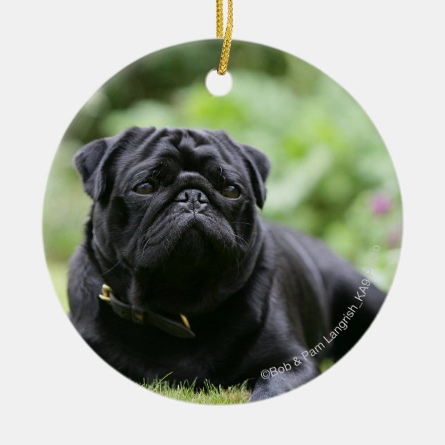 Ornamento De Cerâmica Pug preto que estabelece (Frente)