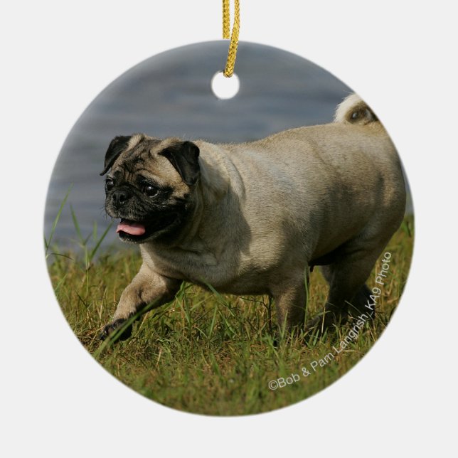 Ornamento De Cerâmica Pug que joga perto da água (Frente)