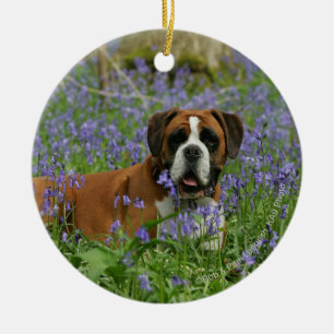 Ornamento De Cerâmica Pugilista que coloca nos Bluebells