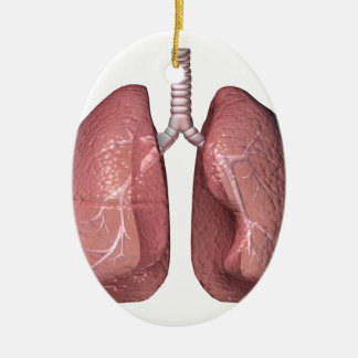 Ornamento De Cerâmica pulmões