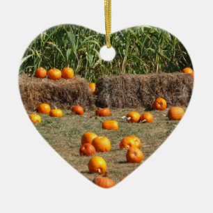 Ornamento De Cerâmica Pumpkins, Milho e Fotografia de Colheita de outono