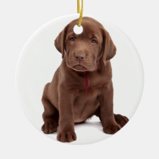 Ornamento De Cerâmica Puppia de chocolate