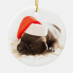 Ornamento De Cerâmica Puppy Com Papai Noel Em Fundo Branco