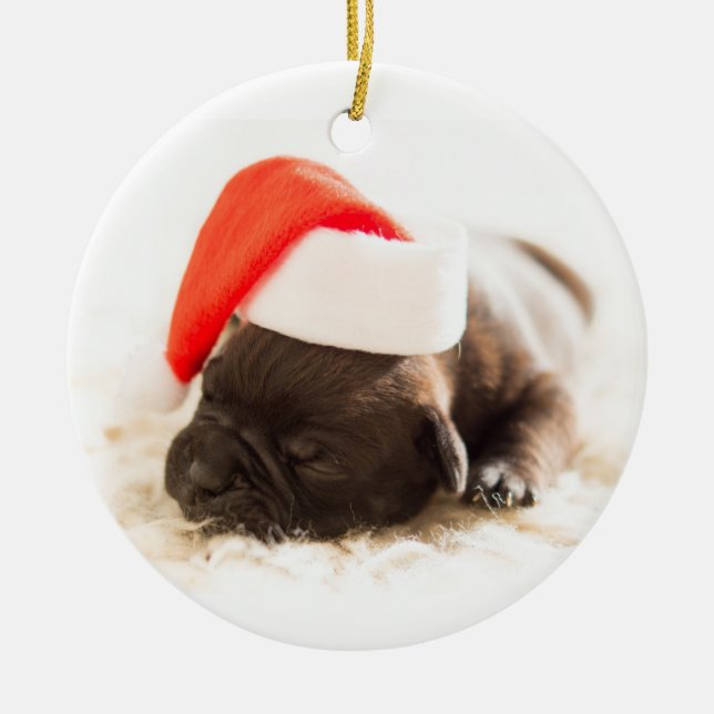 Ornamento De Cerâmica Puppy Com Papai Noel Em Fundo Branco (Frente)