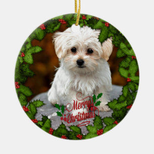 Ornamento De Cerâmica Puppy de Natal maltês