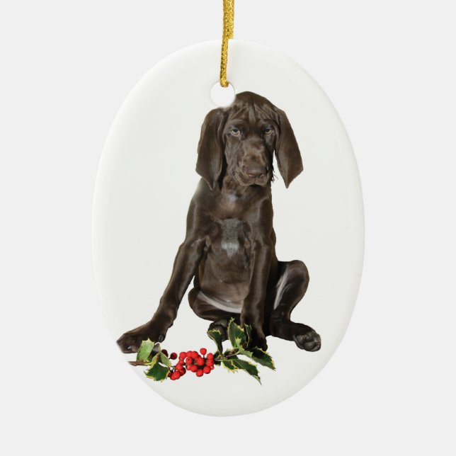 Ornamento De Cerâmica Puppy de Ponteiro de Natal (Frente)