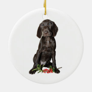 Ornamento De Cerâmica Puppy de Ponteiro de Natal