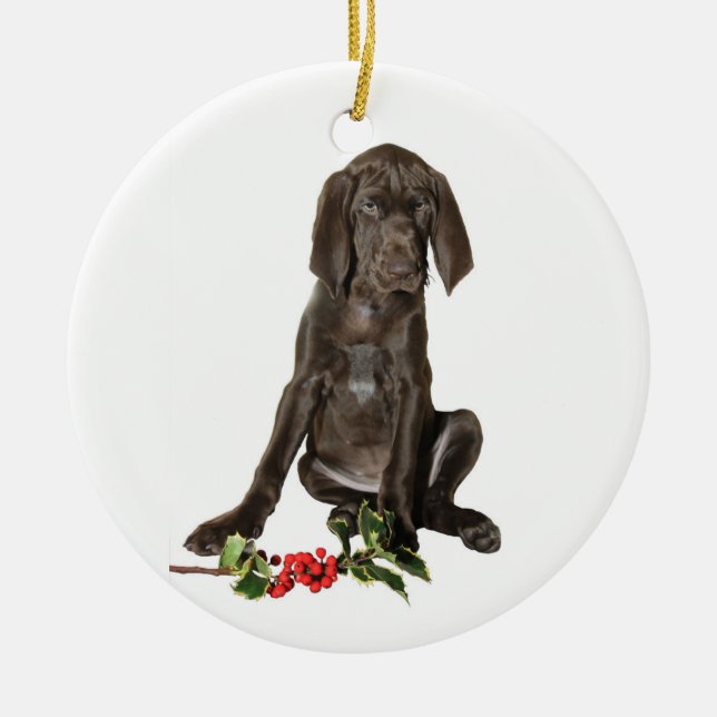 Ornamento De Cerâmica Puppy de Ponteiro de Natal (Frente)