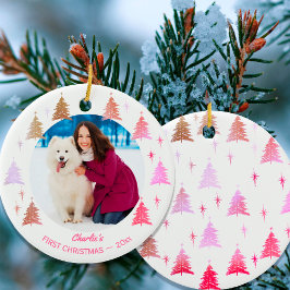 Ornamento De Cerâmica Puppy Dogs Primeiro Natal Personalizado Pet Foto R
