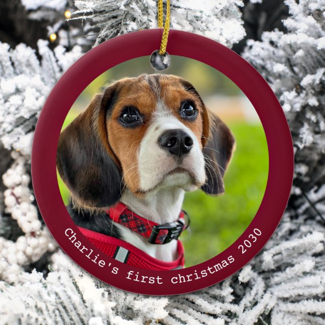 Ornamento De Cerâmica Puppy Primeiro Natal Personalizado Pet Dog Foto (Criador carregado)