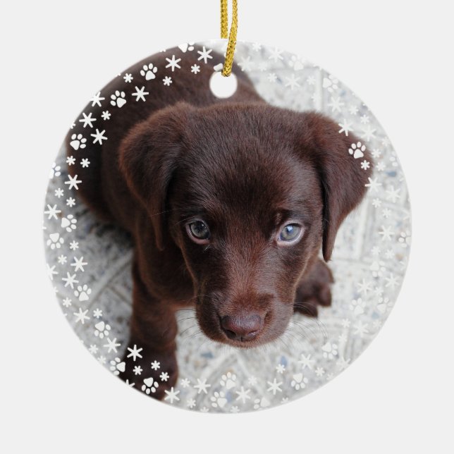 Ornamento De Cerâmica Puppy's First Christmas Holiday Ornament (Frente)