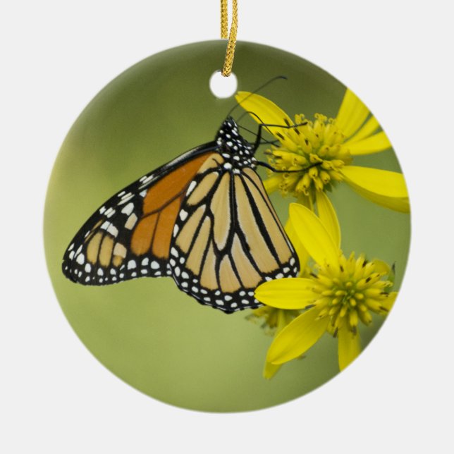 Ornamento De Cerâmica Pureza livre (Frente)