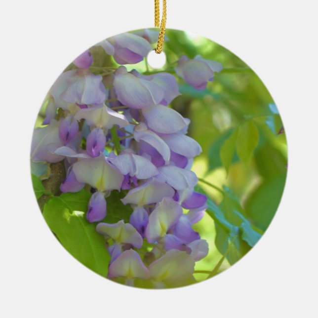 Ornamento De Cerâmica Purple Wisteria Blossoms Flor Ornament (Frente)