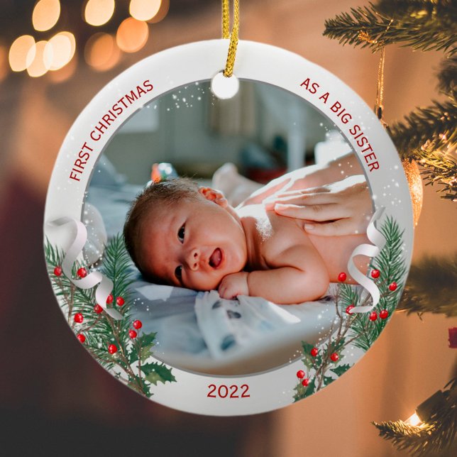 Ornamento De Cerâmica Quadro de Planta de Prata Clássica de Natal Big Si (Criador carregado)