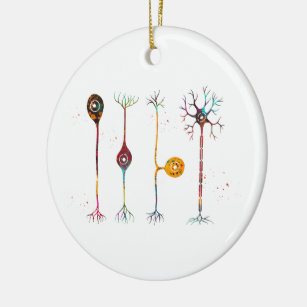 Ornamento De Cerâmica Quatro tipos de neurônios