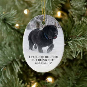 Ornamento De Cerâmica Querido Papai Noel Eu Tentei Ser Bom Foto Fofa
