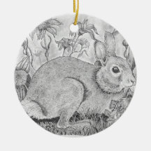 Rabbit fica entre flores silvestres