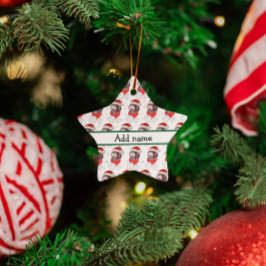 Ornamento De Cerâmica Raça de Cachorro Newfypoo Estrelas de Natal
