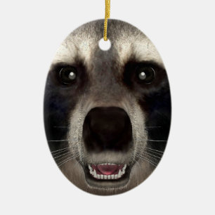 Ornamento De Cerâmica Raccoon